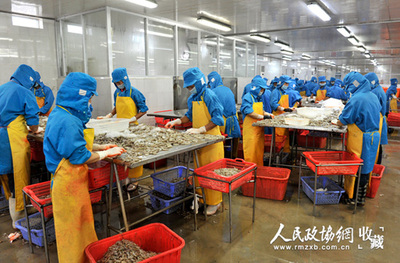 還君明珠終有時 北海市水產品冷凍加工的機遇與挑戰