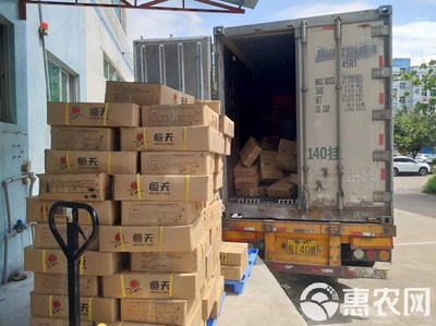 冷凍鱸魚 速鮮白蕉海鱸的現代水產加工與優勢