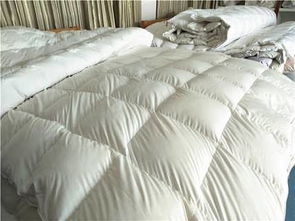 最新供求 淮安市淮安區(qū)鑫豐羽絨制品廠