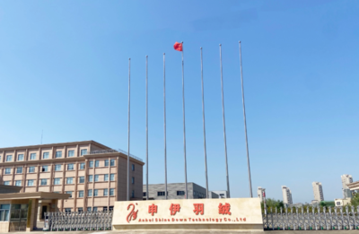 裕安白鵝&ldquo;向天歌&rdquo;_六安市裕安區(qū)人民政府