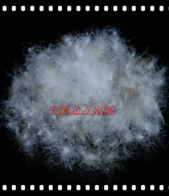 【鴨毛 羽絨供應遼寧的好羽絨 羽絨】價格,廠家,圖片,羽毛、羽絨,安新縣大張莊北方羽絨制品銷售部-